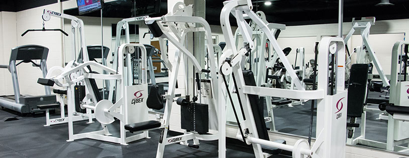 photo of Weight Machines