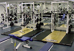 photo of Free Weight Area
