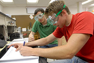 students doing research in the Undergraduate Research Scholar Program