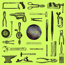 2014 Voices cover image