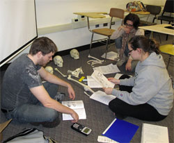 Students studying bones in Anthropology class