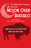 Moon Over Buffalo poster