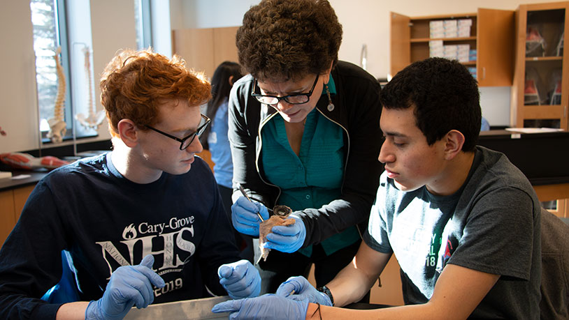 students dissecting an eye in biology class