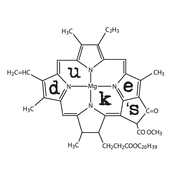 DukesblackLogo.jpg