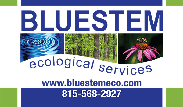 Blue Stem Logo