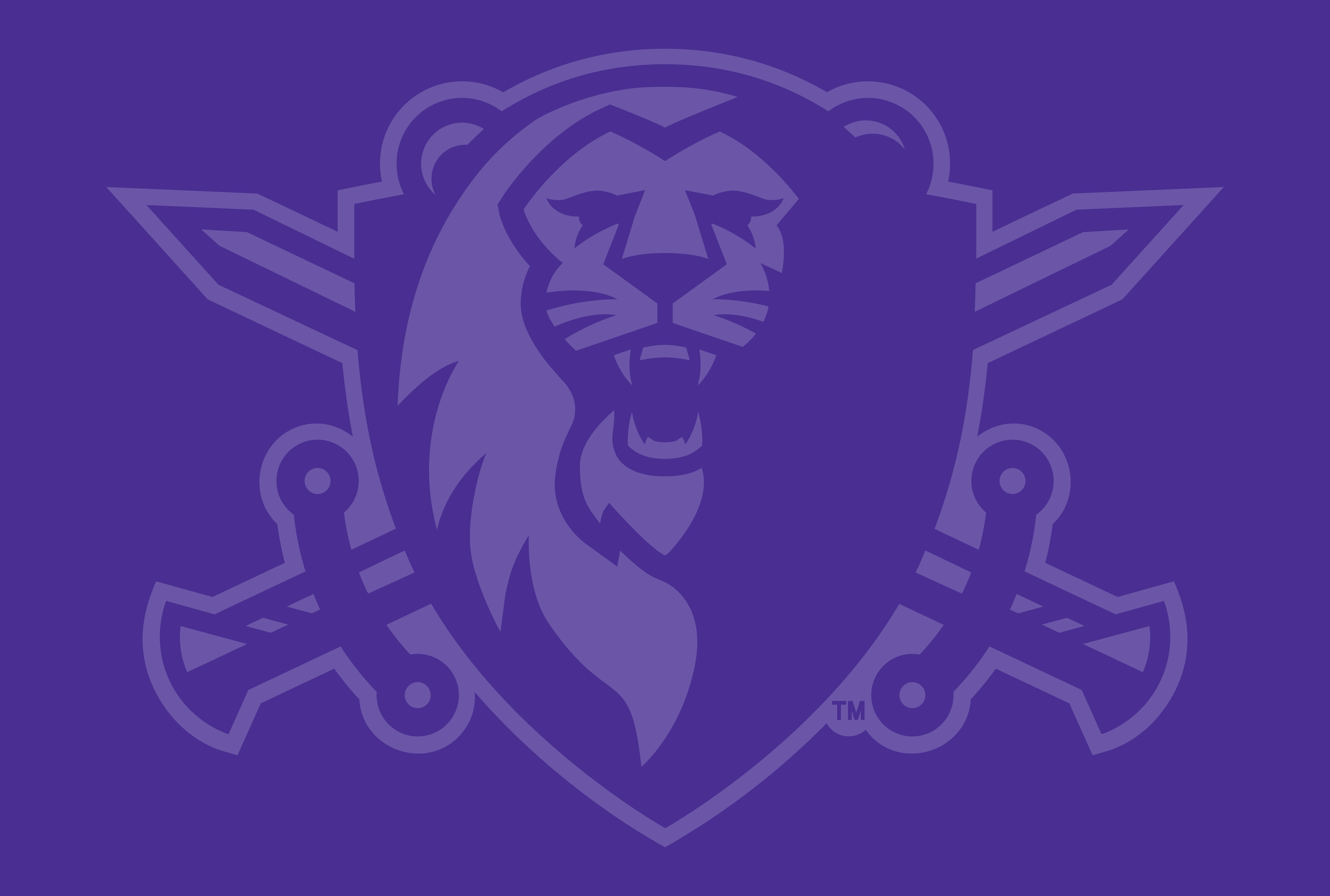 roary mcc athletics purple banner image