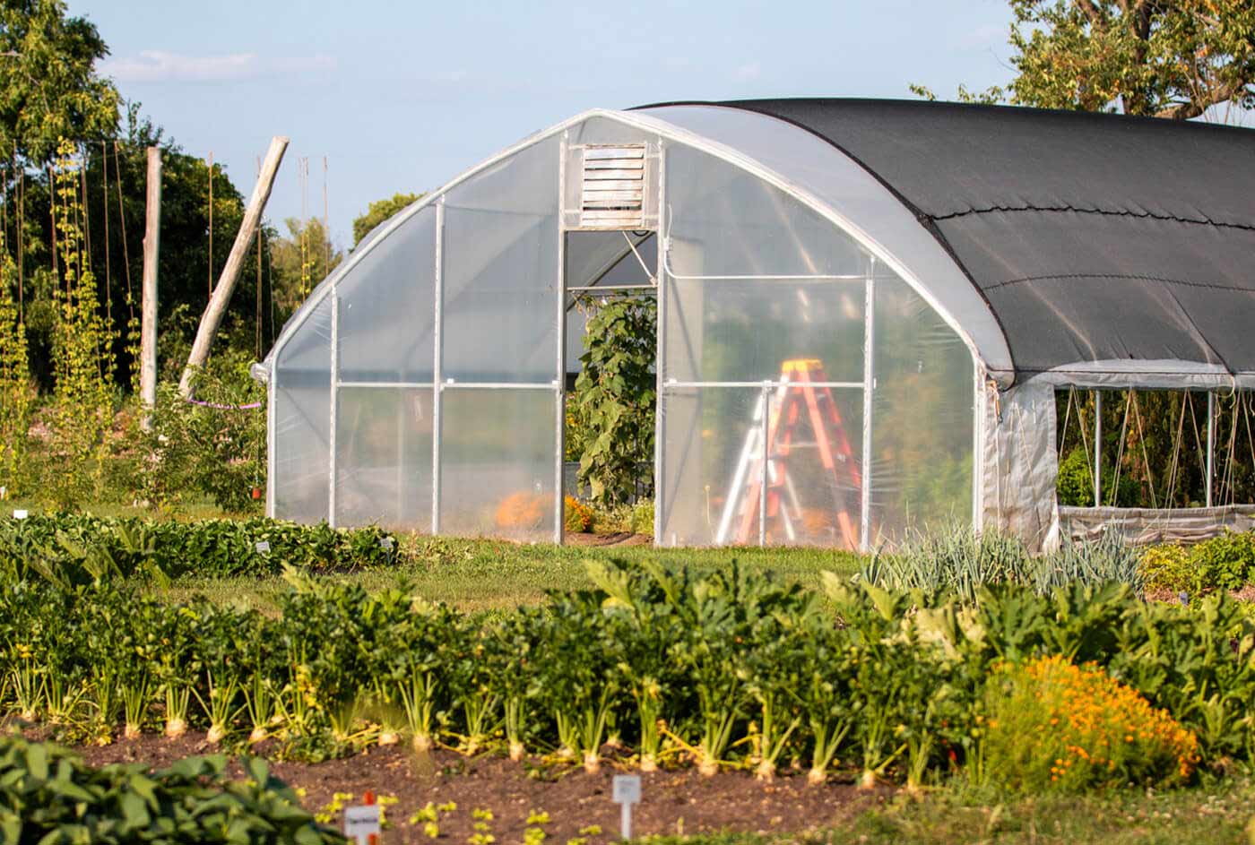 hoop houses displayed on a sunny day at the student farm