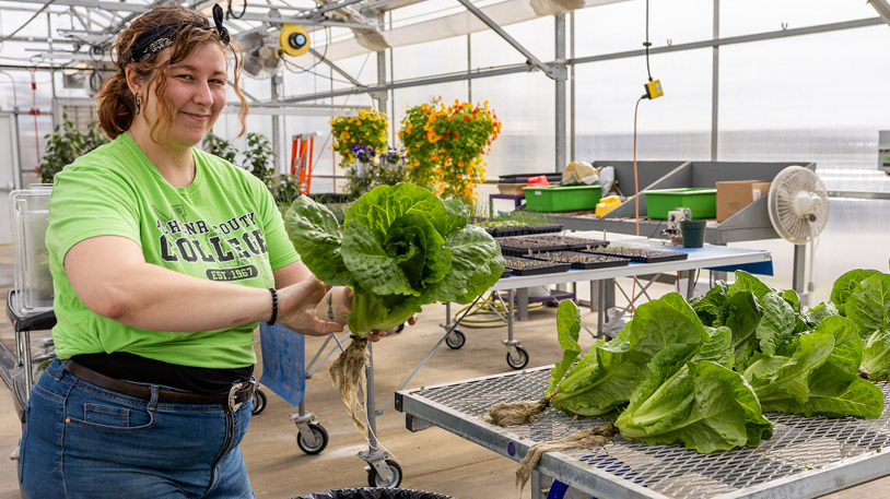 An MCC student in the greenhouse holding a large fresh lettuce head with more lettuce on a metal table nearby.