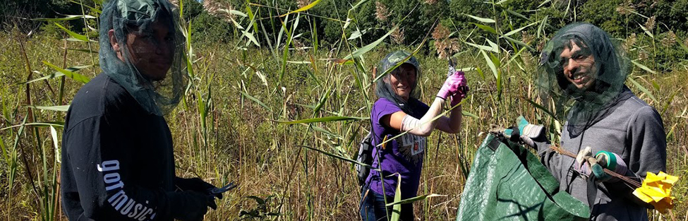 PTK at Bogger Bog