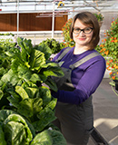 MCC alumna Marianna Ivanovskaya-Pierard is wearing a purple shirt and gray apron while harvesting fresh leafy greens in the MCC greenhouse.
