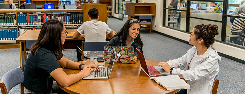 Students in the library