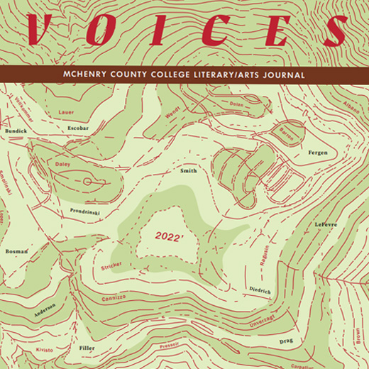 2022 Voices cover image